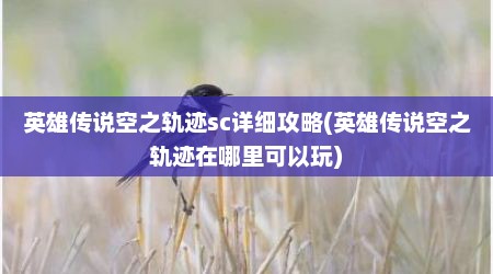 英雄传说空之轨迹sc详细攻略(英雄传说空之轨迹在哪里可以玩)