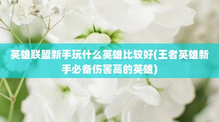 英雄联盟新手玩什么英雄比较好(王者英雄新手必备伤害高的英雄)