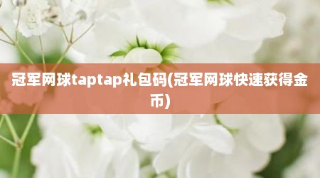 冠军网球taptap礼包码(冠军网球快速获得金币)