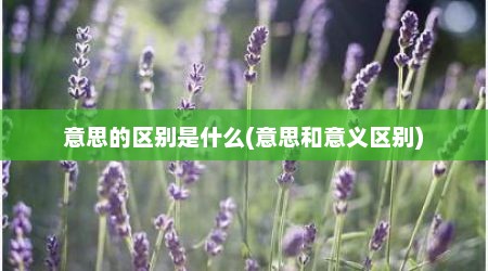 意思的区别是什么(意思和意义区别)