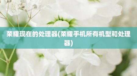 荣耀现在的处理器(荣耀手机所有机型和处理器)
