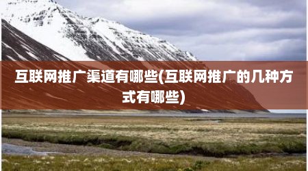 互联网推广渠道有哪些(互联网推广的几种方式有哪些)