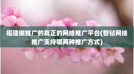 福建做推广的真正的网络推广平台(智钻网络推广支持哪两种推广方式)