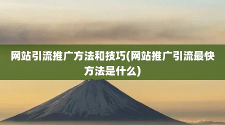 网站引流推广方法和技巧(网站推广引流最快方法是什么)