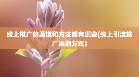 线上推广的渠道和方法都有哪些(线上引流推广渠道方式)