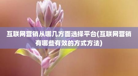 互联网营销从哪几方面选择平台(互联网营销有哪些有效的方式方法)
