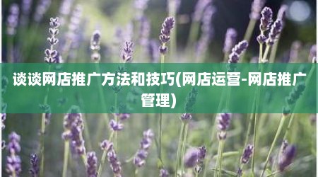 谈谈网店推广方法和技巧(网店运营-网店推广管理)
