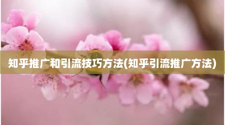 知乎推广和引流技巧方法(知乎引流推广方法)