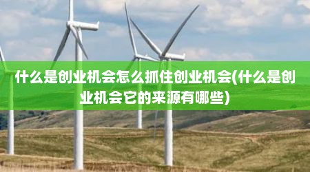 什么是创业机会怎么抓住创业机会(什么是创业机会它的来源有哪些)
