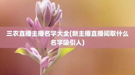 三农直播主播名字大全(新主播直播间取什么名字吸引人)