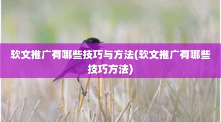 软文推广有哪些技巧与方法(软文推广有哪些技巧方法)