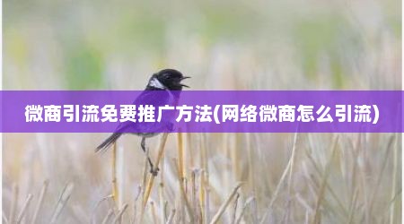 微商引流免费推广方法(网络微商怎么引流)