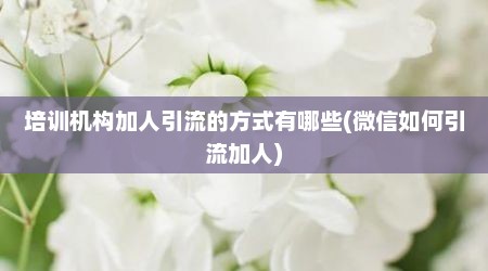 培训机构加人引流的方式有哪些(微信如何引流加人)