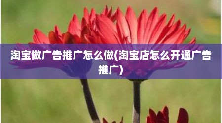 淘宝做广告推广怎么做(淘宝店怎么开通广告推广)