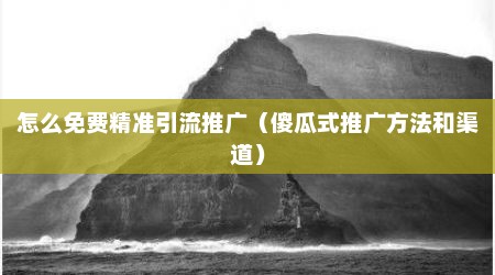 怎么免费精准引流推广（傻瓜式推广方法和渠道）