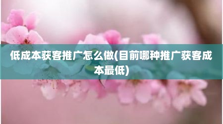 低成本获客推广怎么做(目前哪种推广获客成本最低)