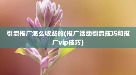引流推广怎么收费的(推广活动引流技巧和推广vip技巧)