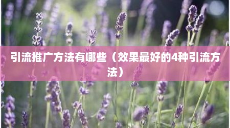 引流推广方法有哪些（效果最好的4种引流方法）
