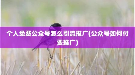 个人免费公众号怎么引流推广(公众号如何付费推广)