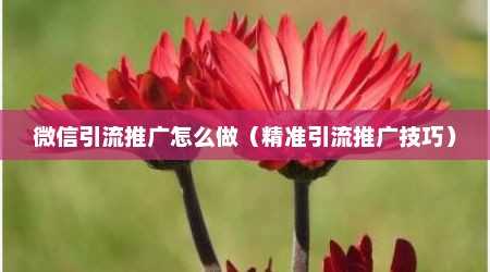 微信引流推广怎么做（精准引流推广技巧）