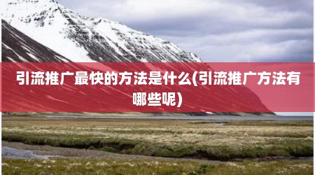 引流推广最快的方法是什么(引流推广方法有哪些呢)