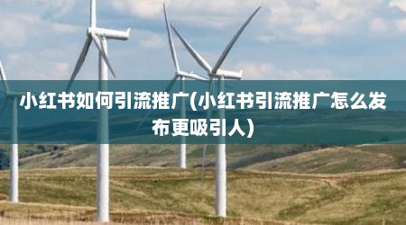 小红书如何引流推广(小红书引流推广怎么发布更吸引人)
