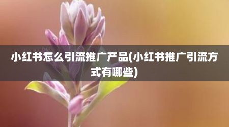小红书怎么引流推广产品(小红书推广引流方式有哪些)