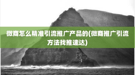 微商怎么精准引流推广产品的(微商推广引流方法找推速达)