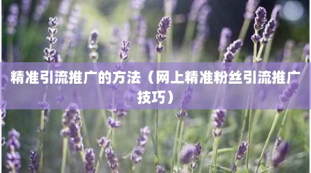 精准引流推广的方法（网上精准粉丝引流推广技巧）