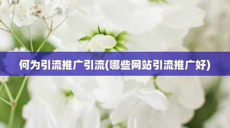 何为引流推广引流(哪些网站引流推广好)