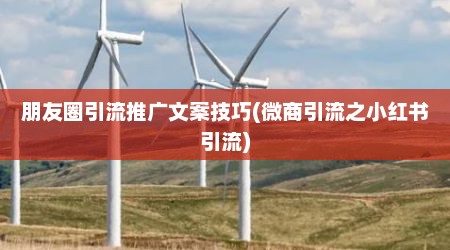朋友圈引流推广文案技巧(微商引流之小红书引流)