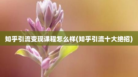 知乎引流变现课程怎么样(知乎引流十大绝招)