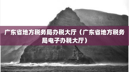 广东省地方税务局办税大厅（广东省地方税务局电子办税大厅）