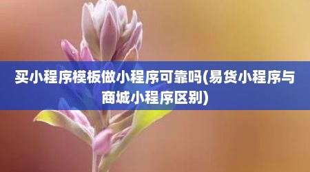 买小程序模板做小程序可靠吗(易货小程序与商城小程序区别)