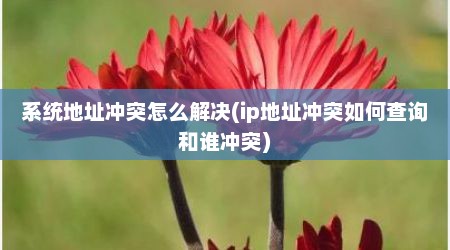 系统地址冲突怎么解决(ip地址冲突如何查询和谁冲突)