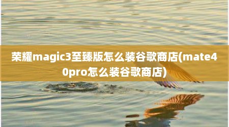 荣耀magic3至臻版怎么装谷歌商店(mate40pro怎么装谷歌商店)