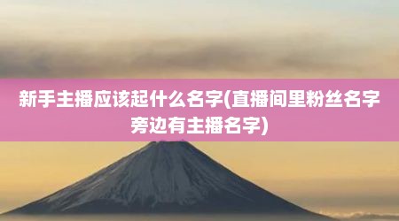 新手主播应该起什么名字(直播间里粉丝名字旁边有主播名字)