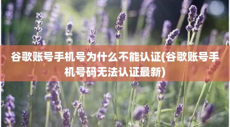 谷歌账号手机号为什么不能认证(谷歌账号手机号码无法认证最新)