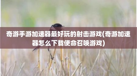 奇游手游加速器最好玩的射击游戏(奇游加速器怎么下载使命召唤游戏)