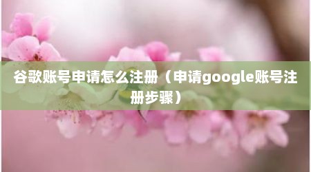 谷歌账号申请怎么注册（申请google账号注册步骤）