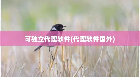 可独立代理软件(代理软件国外)