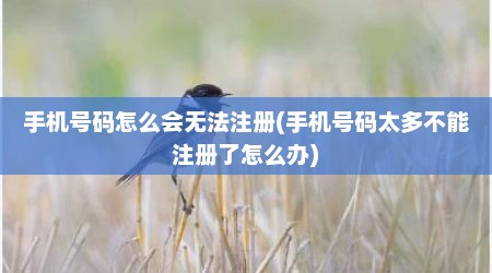 手机号码怎么会无法注册(手机号码太多不能注册了怎么办)