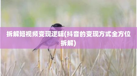 拆解短视频变现逻辑(抖音的变现方式全方位拆解)