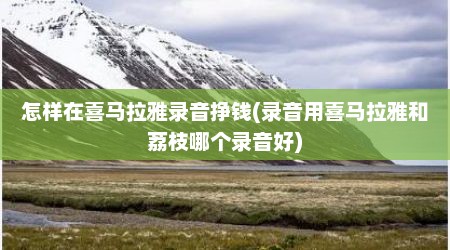 怎样在喜马拉雅录音挣钱(录音用喜马拉雅和荔枝哪个录音好)