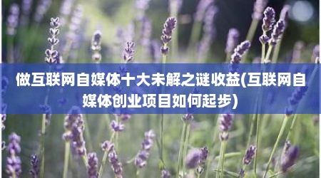 做互联网自媒体十大未解之谜收益(互联网自媒体创业项目如何起步)