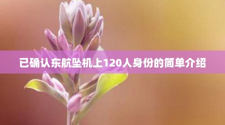 已确认东航坠机上120人身份的简单介绍