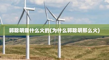 郭聪明靠什么火的(为什么郭聪明那么火)