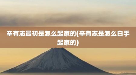 辛有志最初是怎么起家的(辛有志是怎么白手起家的)