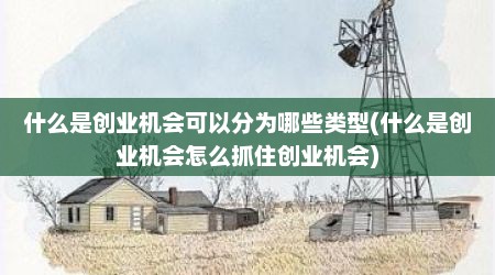 什么是创业机会可以分为哪些类型(什么是创业机会怎么抓住创业机会)