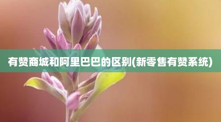 有赞商城和阿里巴巴的区别(新零售有赞系统)